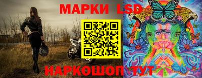 шишки Славгород