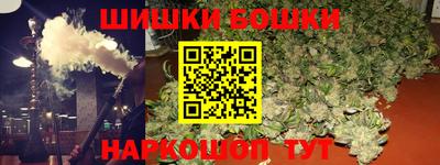 шишки Славгород