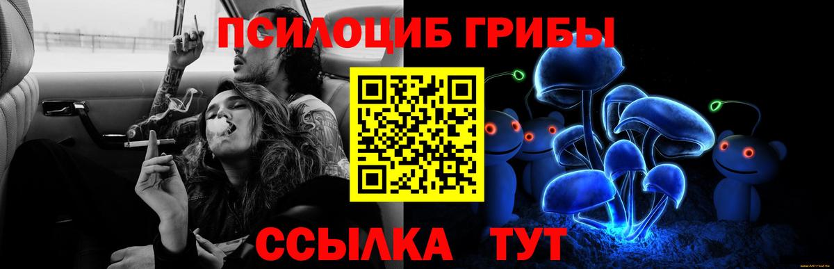 Павлово  Галлюциногенные грибы Magic Shrooms  Вход с VPN 